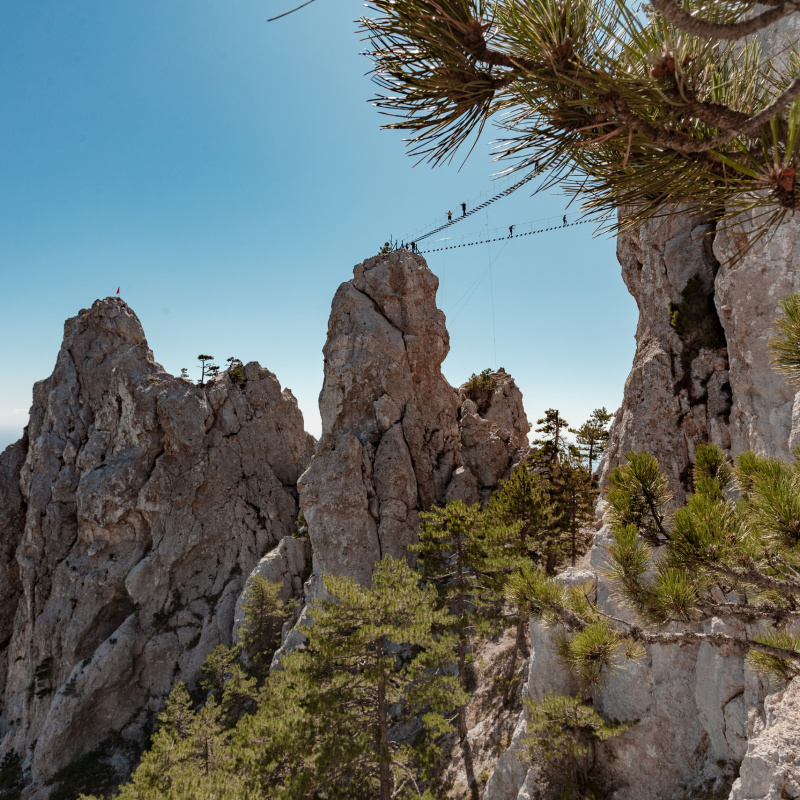 Ксения Гасица 