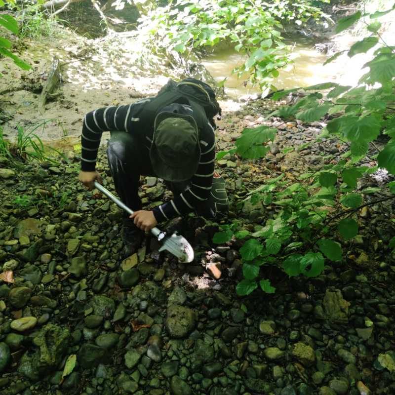 Раскопки Раскопки