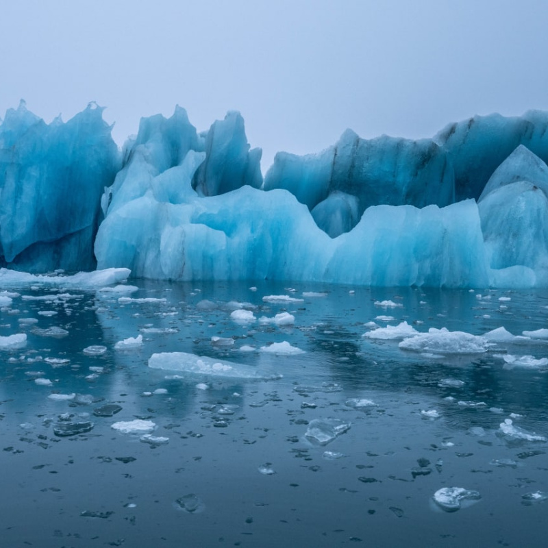 Арктика Арктика