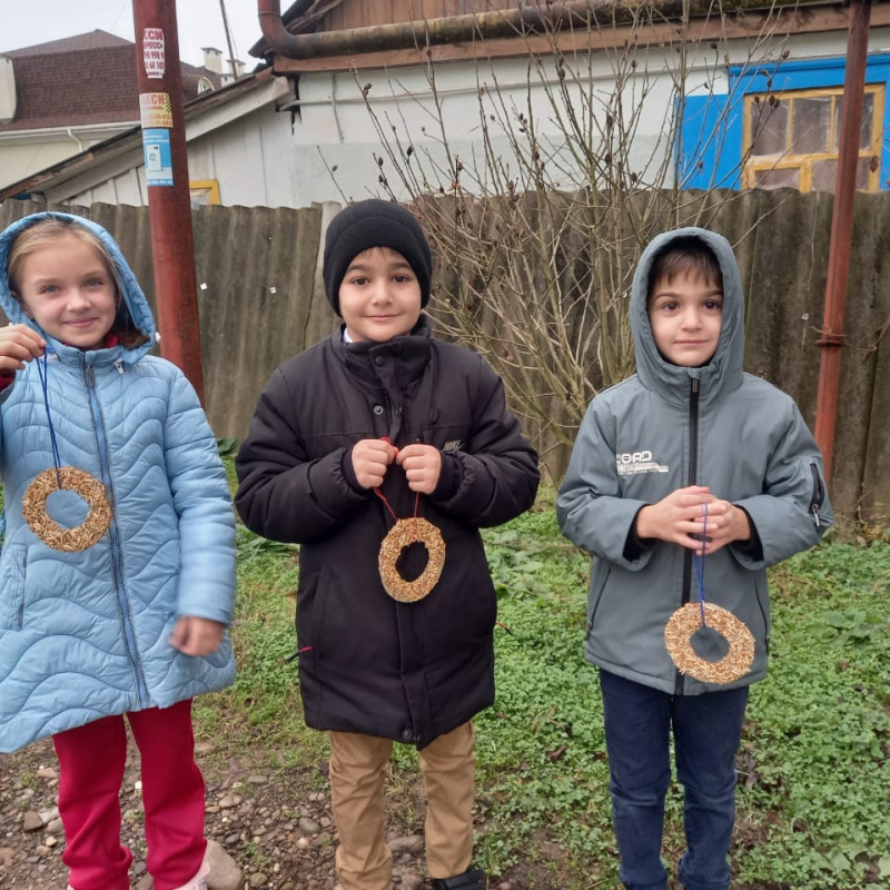 Птичьи кормушки Птичьи кормушки