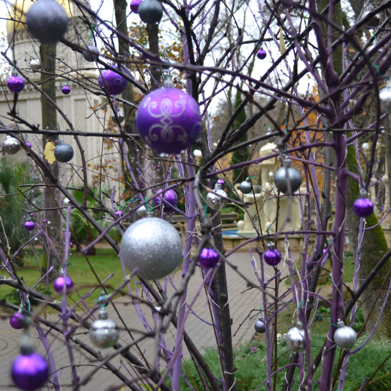 Краснодарский край Краснодарский край