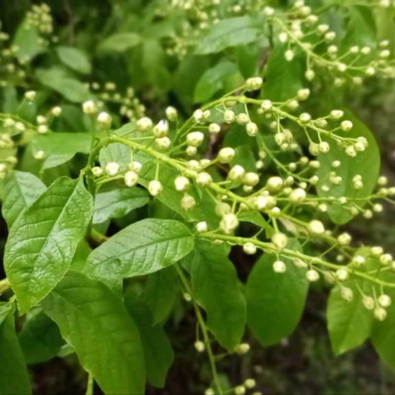 Софья Прохорова, участница фотоконкурса РГО "Самая красивая страна" Софья Прохорова, участница фотоконкурса РГО "Самая красивая страна"