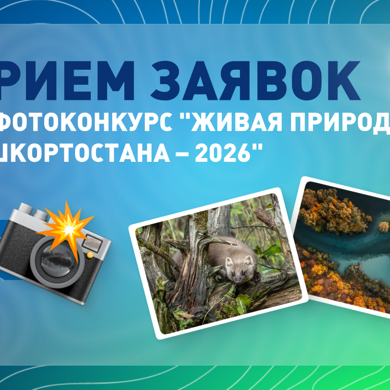 Обложка для фотоконкурса "Живая природа Башкортостана - 2026" Обложка для фотоконкурса "Живая природа Башкортостана - 2026"