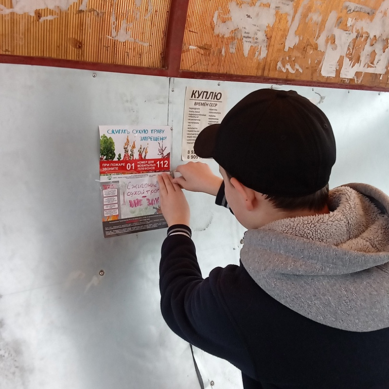 Сохраним природу родного края