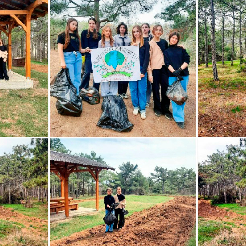 Волонтерство