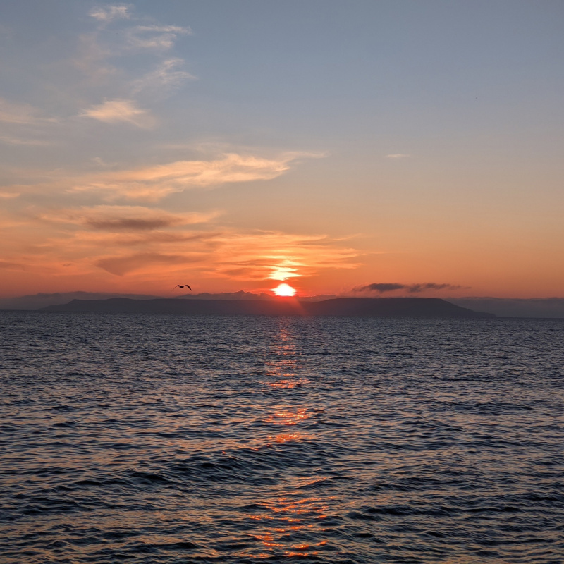 Приморские закаты, Владивосток, Приморский край, июнь 2022 г. Приморские закаты, Владивосток, Приморский край, июнь 2022 г.