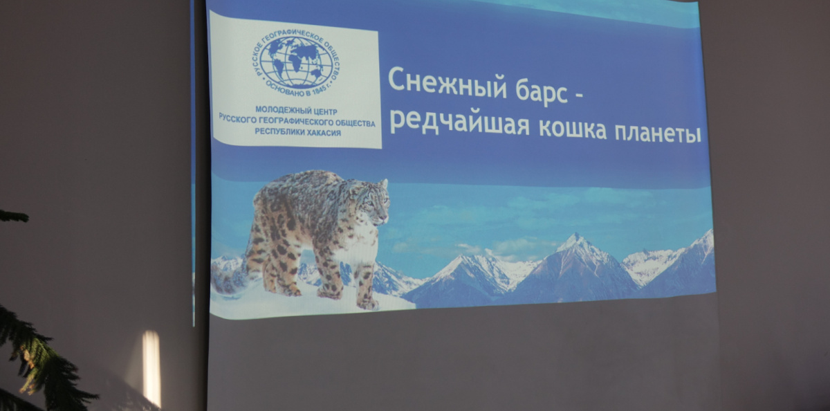 Мероприятие Снежный барс - редчайшая кошка планеты Мероприятие Снежный барс - редчайшая кошка планеты