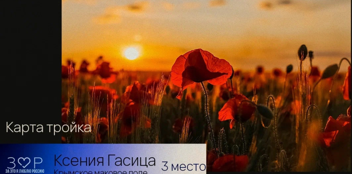 Ксения Гасица 