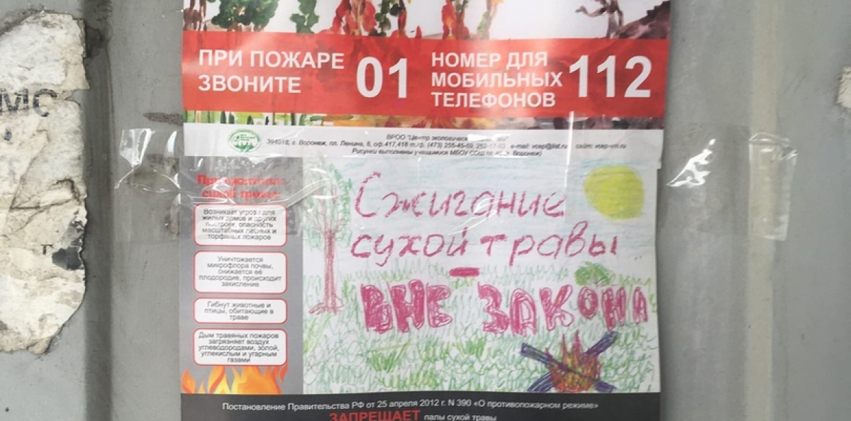 Сохраним природу родного края