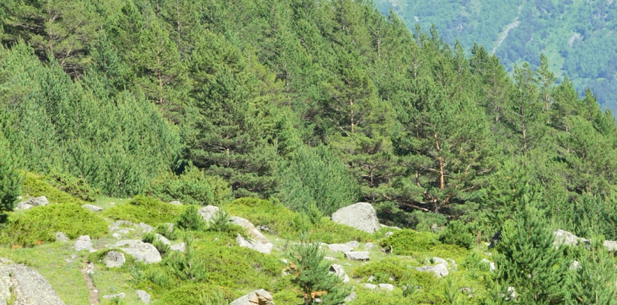 ЮНЭК Красная книга