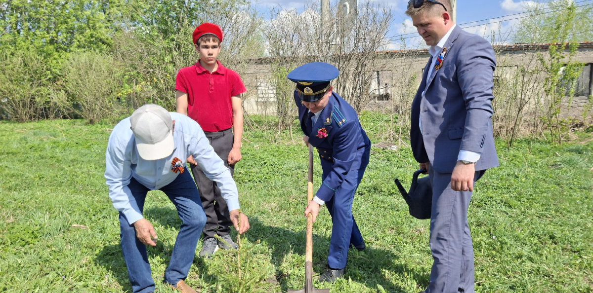 Юные участники акции высаживают саженцы елей вместе со старшим поколением