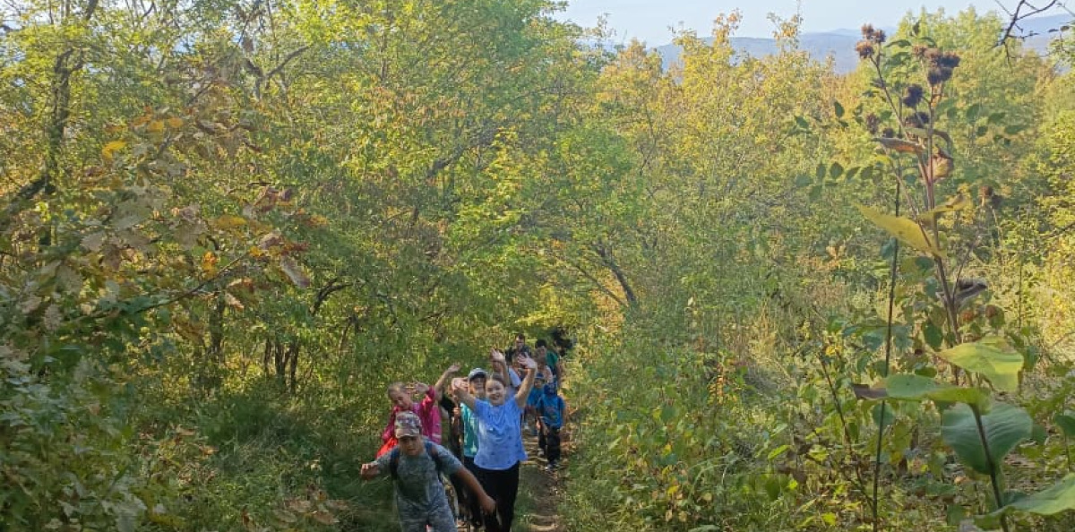 Отличное настроение
