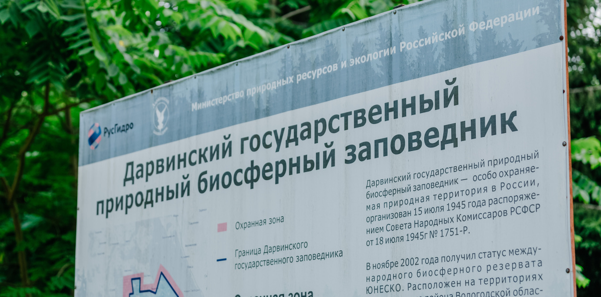 Ксения Гасица 