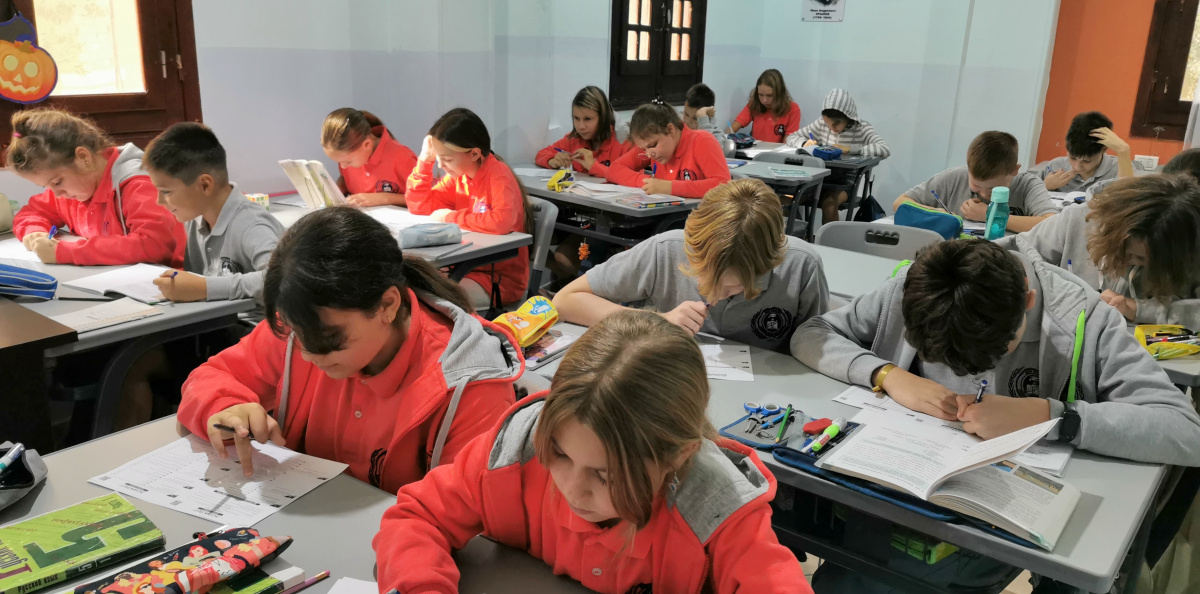 Экологический диктант в Египте