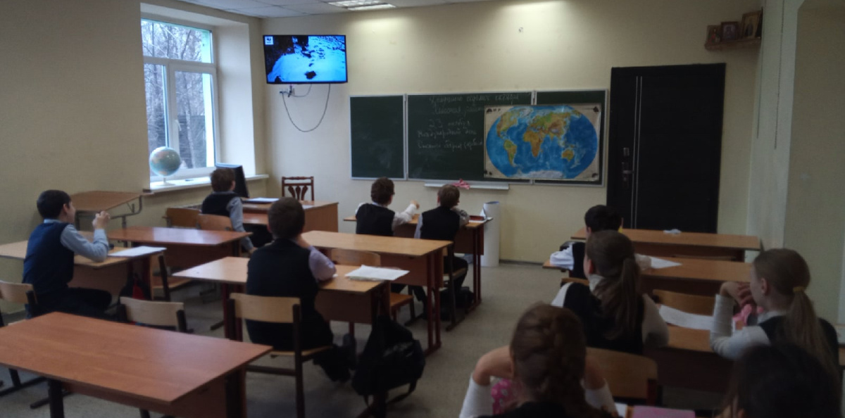 Просмотр фильма о снежном барсе
