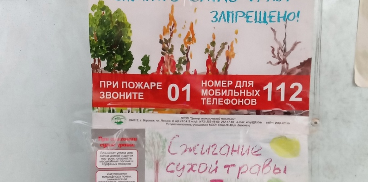Сохраним природу родного края