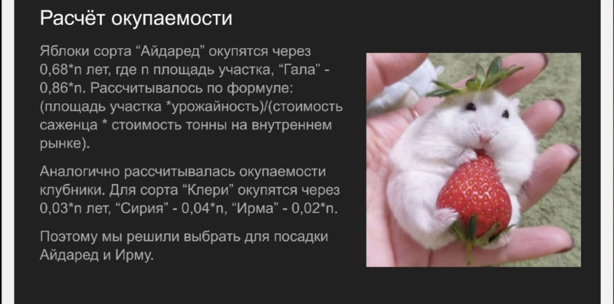 Расчет окупаемости проекта