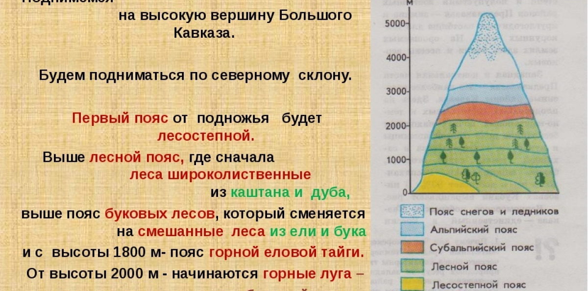Молодёжный клуб РГО