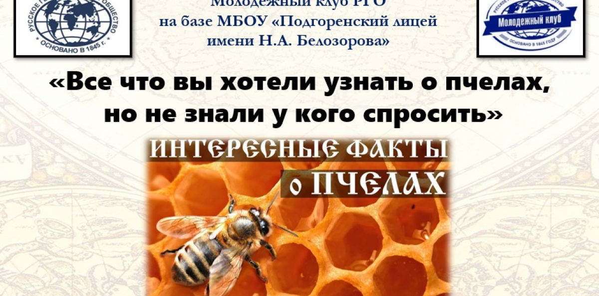 Всё что вы хотели узнать о пчёлах, но не знали у кого спросить Всё что вы хотели узнать о пчёлах, но не знали у кого спросить