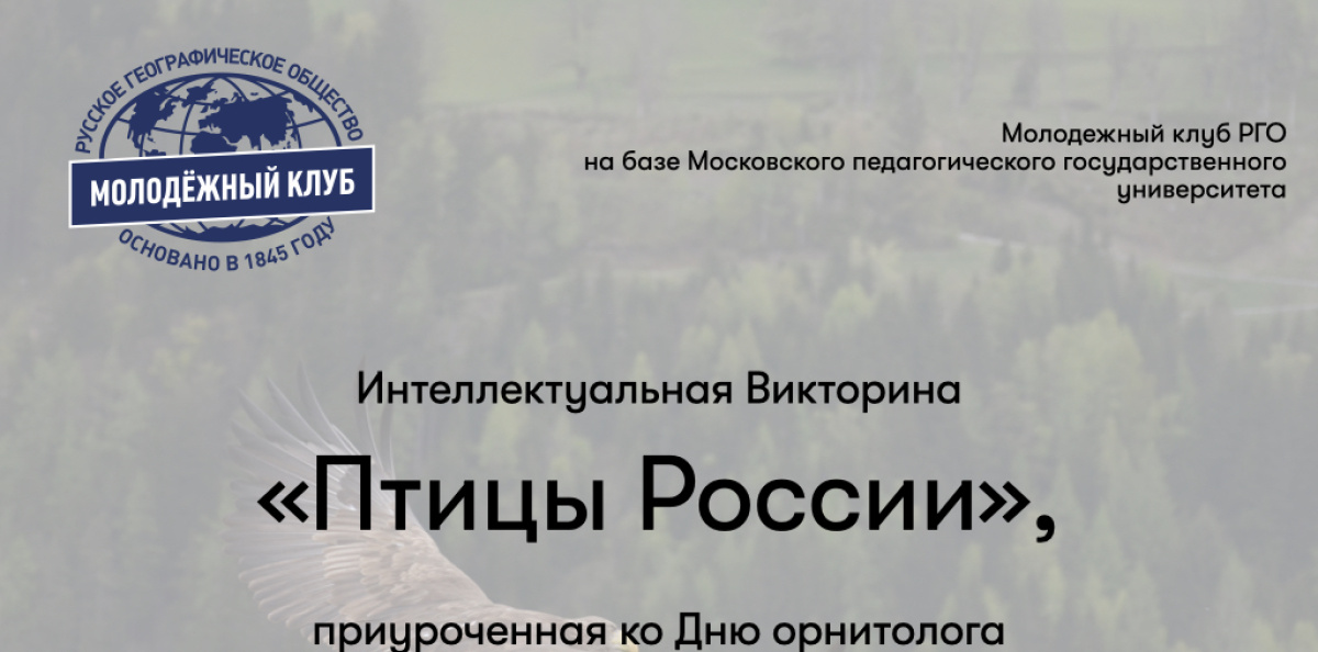 Викторина Птицы России Викторина Птицы России