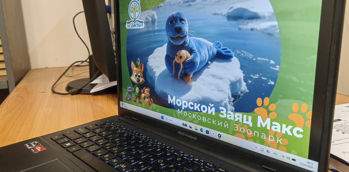 Вопросы Экодиктанта