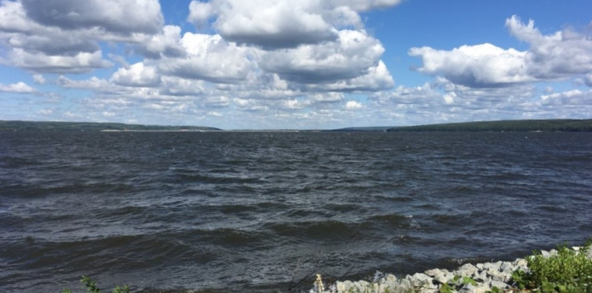 На берегу Сурского водохранилища. 