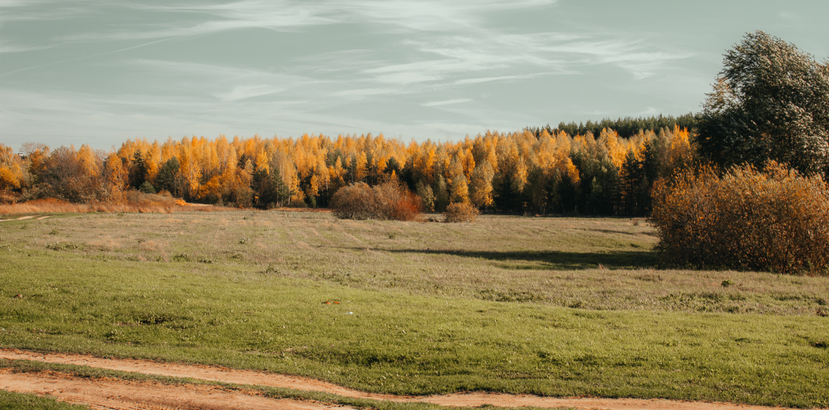 Пейзажи