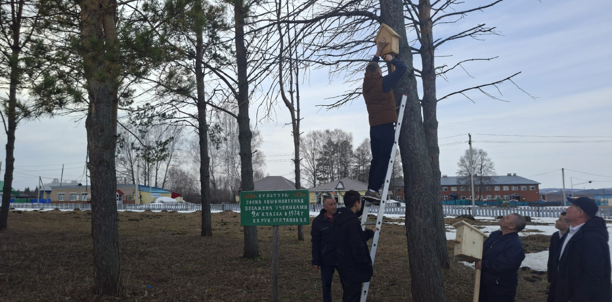 Установка скворечников на деревьях в Парке Победы Установка скворечников на деревьях в Парке Победы