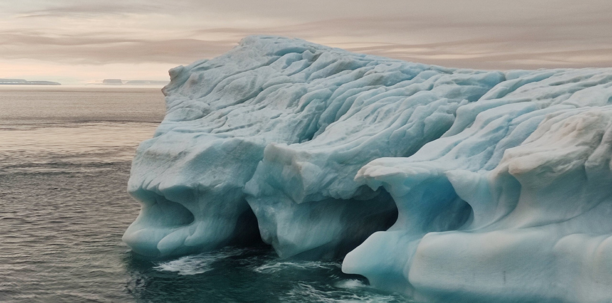 Во время экспедиции "Ледокол знаний! Во время экспедиции "Ледокол знаний!