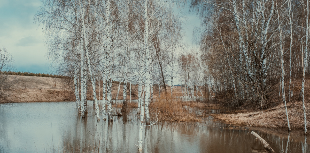 р. Каймарка р. Каймарка