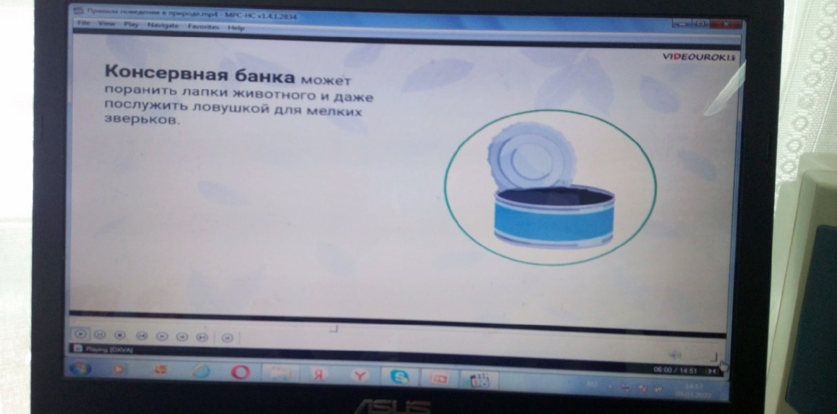 Урок природолюбия