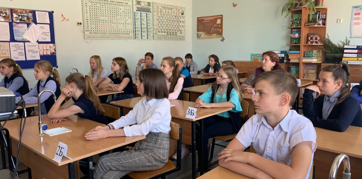 День пчёл День пчёл