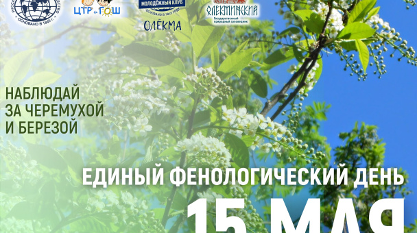 Юлия_Энес