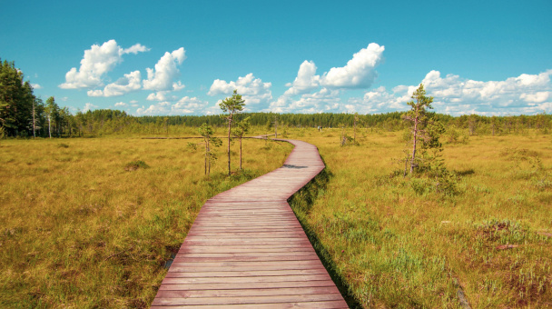 Ольга Мелещенко 