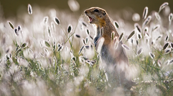 Наталия Чебыкина, участница фотоконкурса РГО "Самая красивая страна"