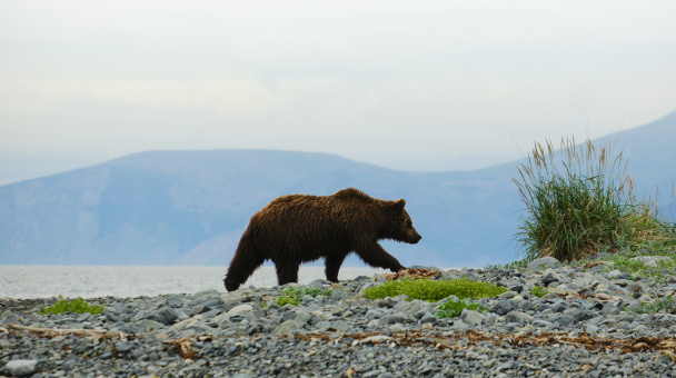 Дмитрий Ханхаев