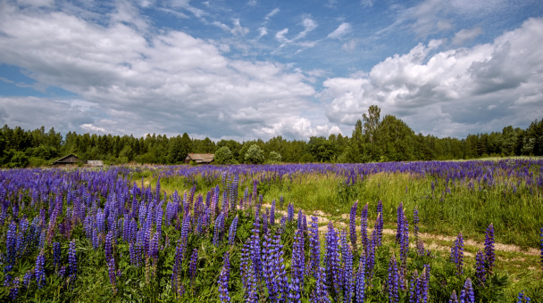 Жанна Молотилова, участница фотоконкурса РГО "Самая красивая страна"