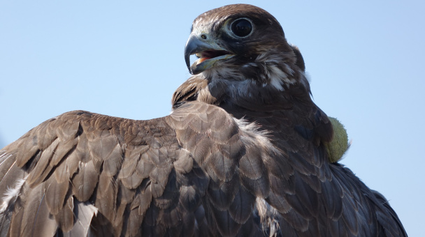 Ульяна Потылицына