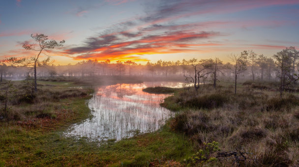 Вера Комарова, участник Фотоконкурса "Самая красивая страна"