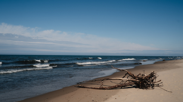 Ксения Чайкина