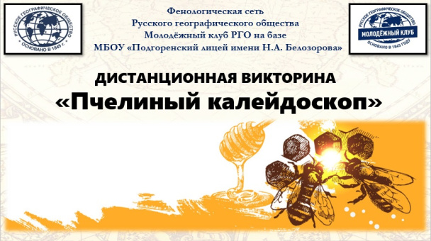Викторина "Пчелиный калейдоскоп - 2022" Викторина "Пчелиный калейдоскоп - 2022"