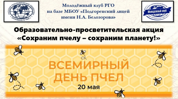 Всемирный День пчёл