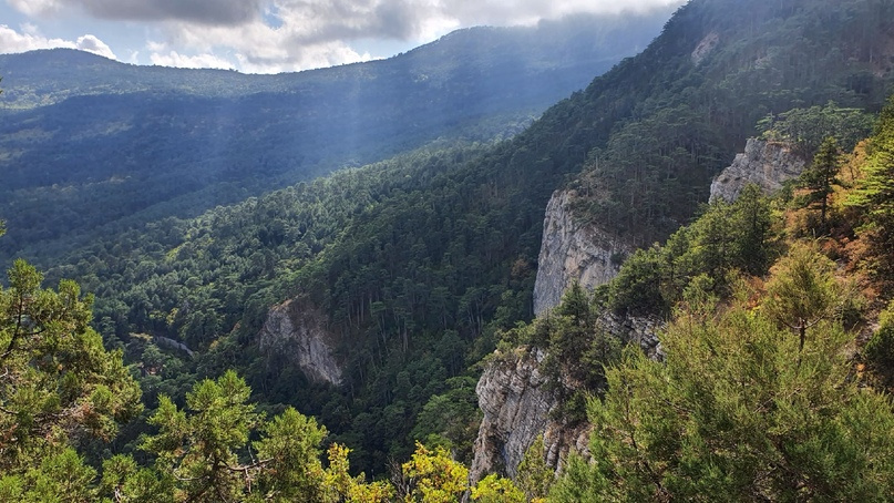 Комментарии излишни, просто красота