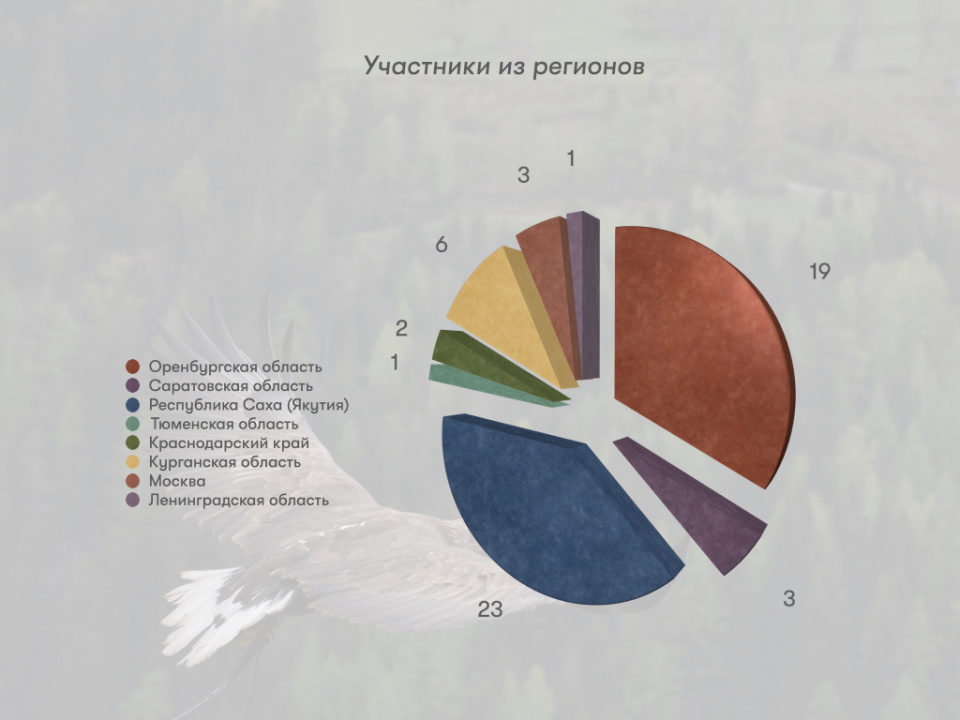 участники из регионов