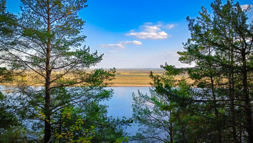 Юлия Лукьянова 