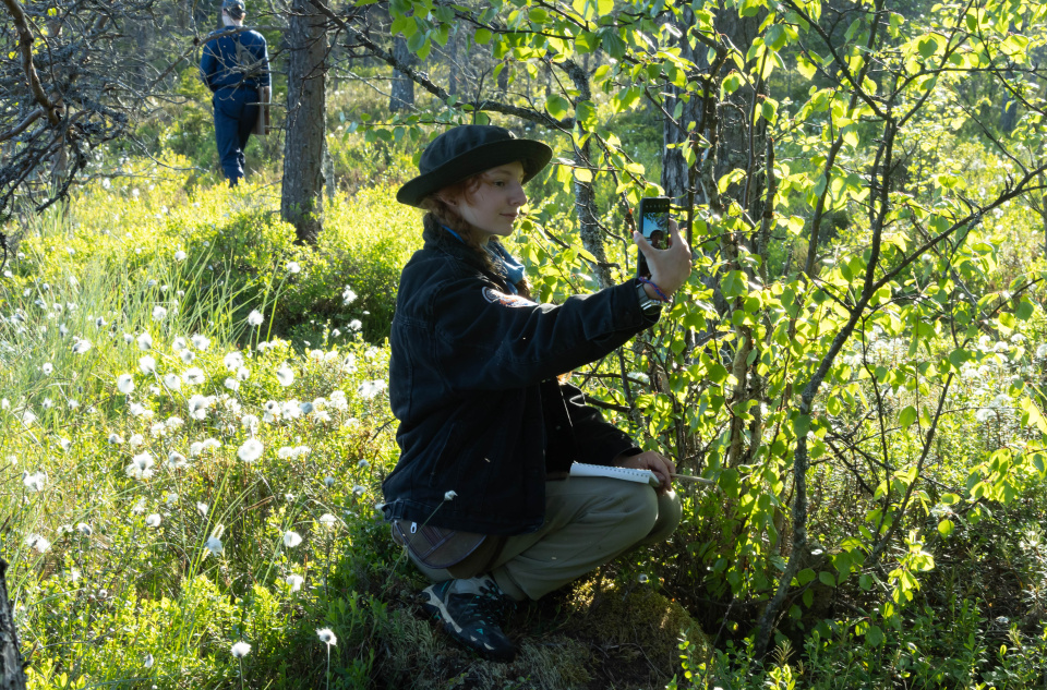 Александр Мокеров