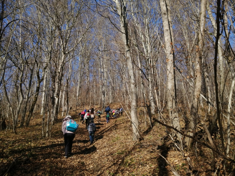 Апшеронск, экспедиция