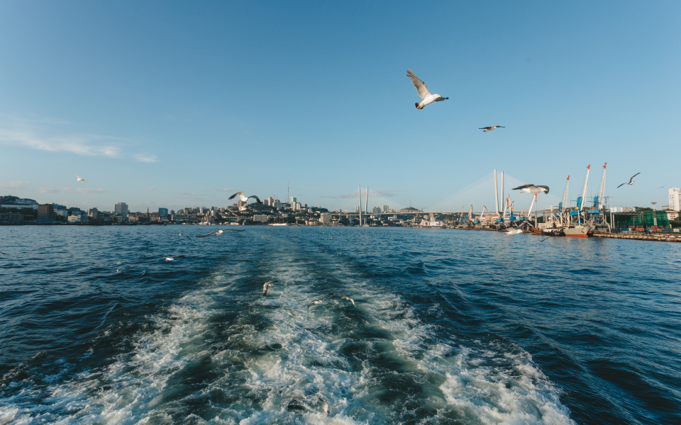 Ксения Гасица Ксения Гасица