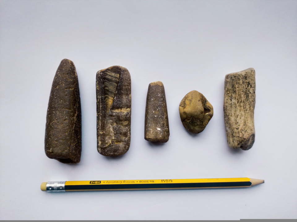 МЦ РГО Кировской области