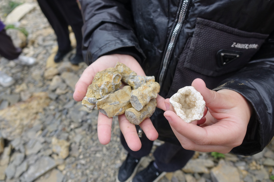 Палео находки 